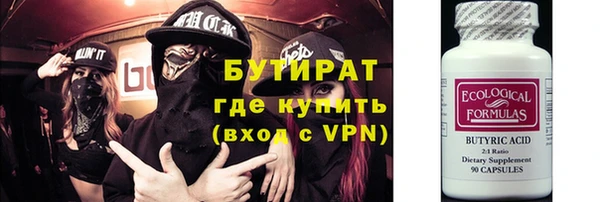 гидра Надым