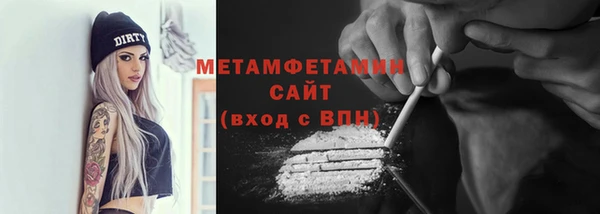 гидра Надым