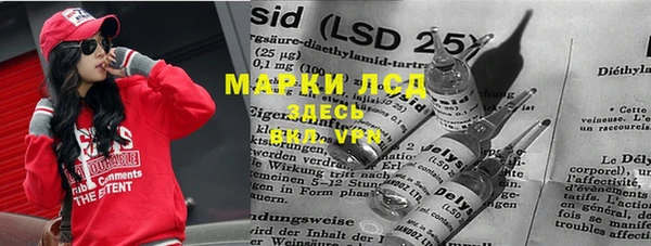 гидра Надым