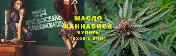 гидра Надым