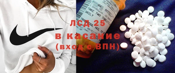 гидра Надым