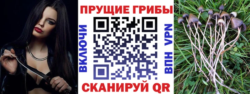 наркота  Злынка  Галлюциногенные грибы мухоморы 