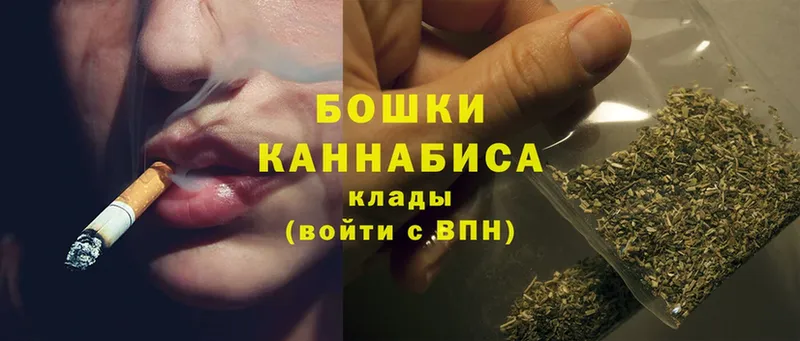 Марихуана OG Kush  купить закладку  Злынка 